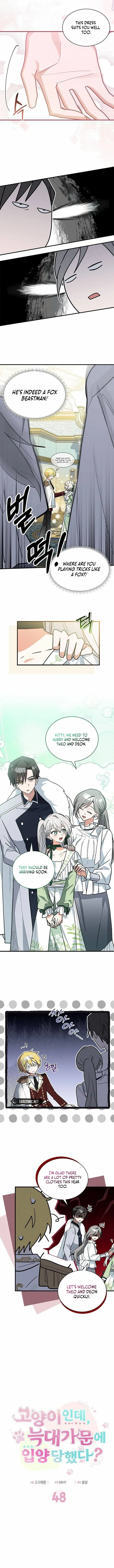 You’re a Cat, But You’ve Been Adopted by a Wolf Family? Chapter 48 - page 5