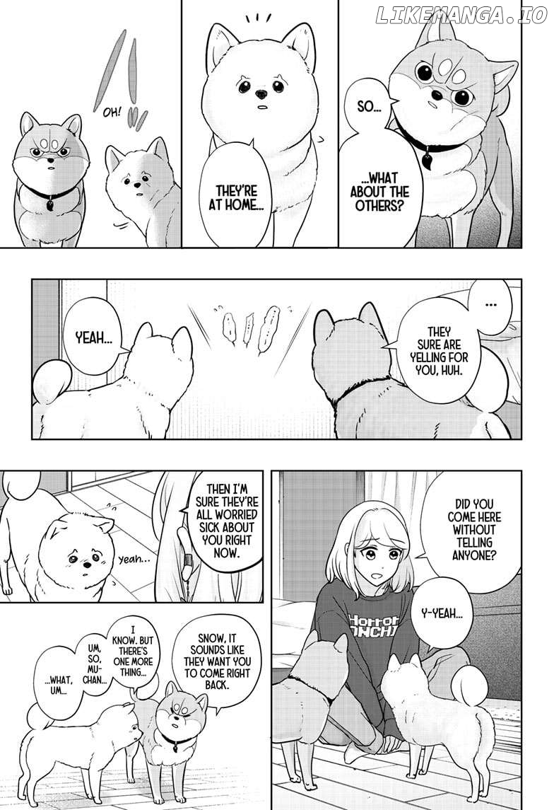 Shiba Inu Rooms Chapter 17 - page 21