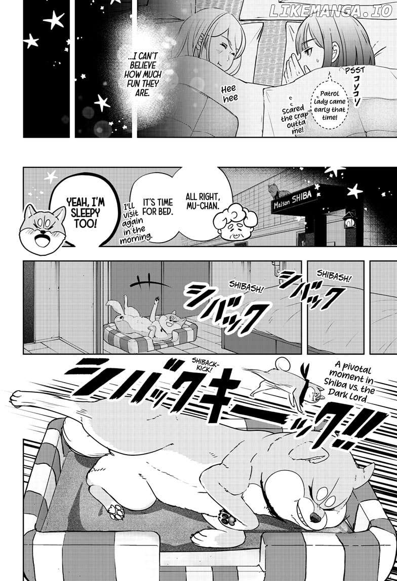Shiba Inu Rooms Chapter 19 - page 8