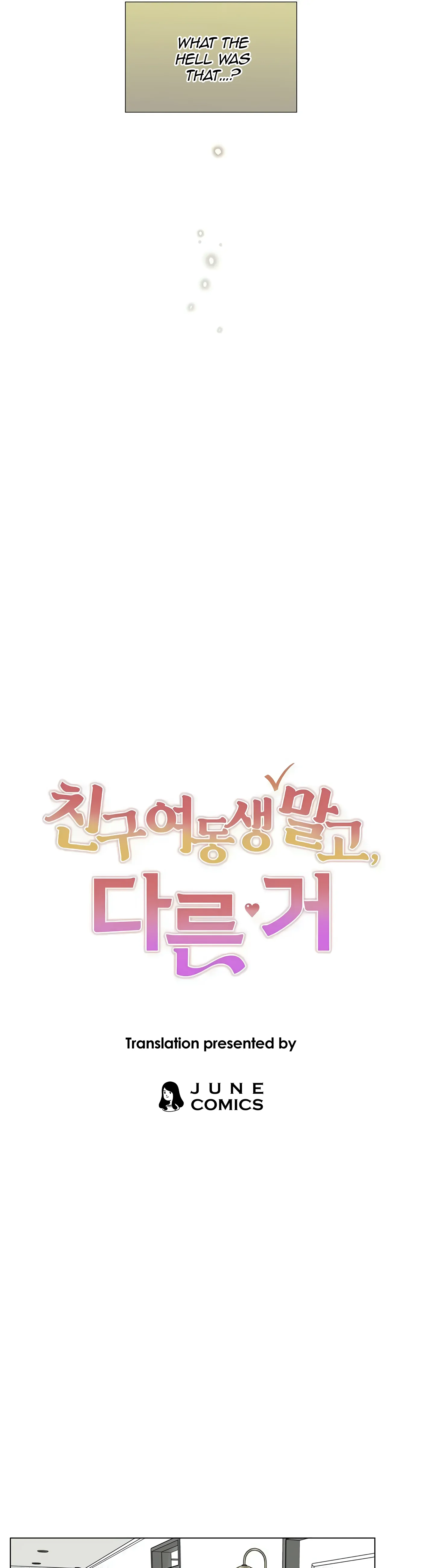 Other Than My Friend's Sister, Something Else Chapter 13 - page 5