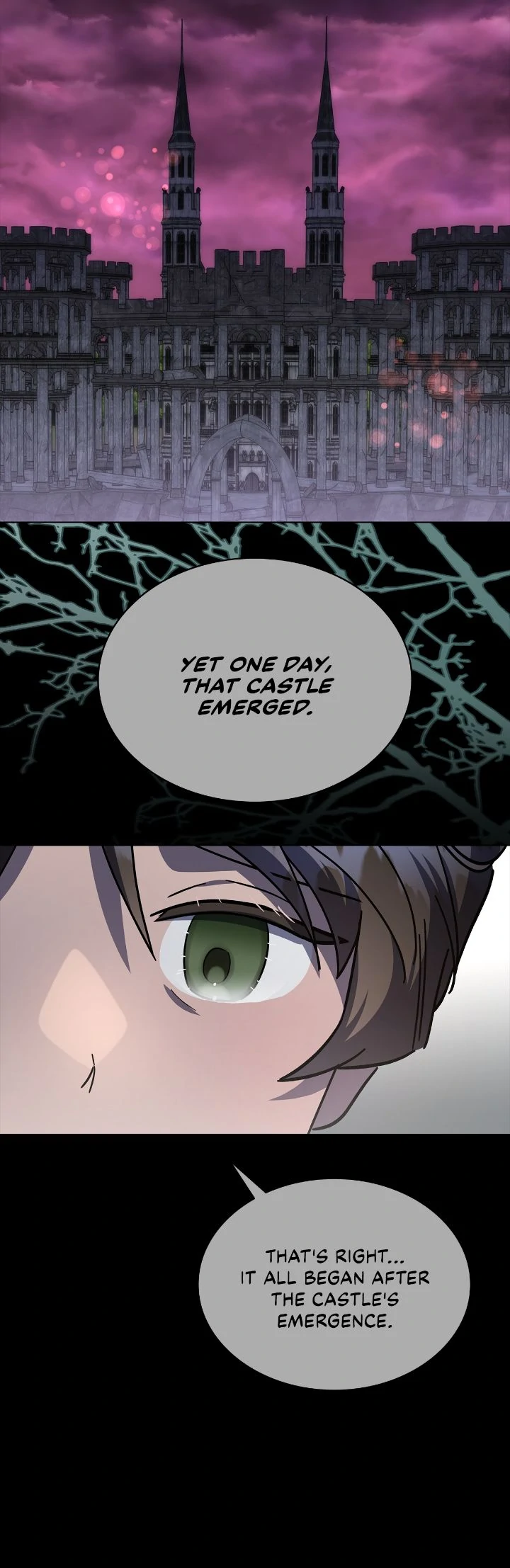 For the Happy Ending of the Tragic Novel Chapter 65 - page 55