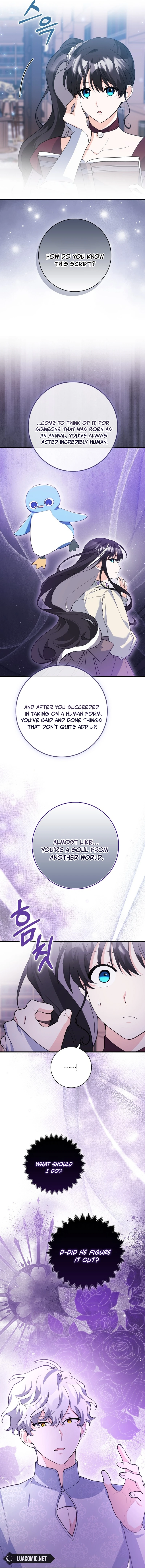 The Crazy Killer Whale’s Favourite Penguin Chapter 37 - page 14