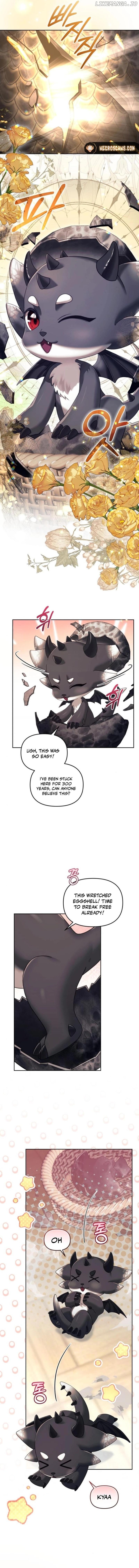 I Was The Acting Empress But I Spent The First Night With Him Chapter 28 - page 11