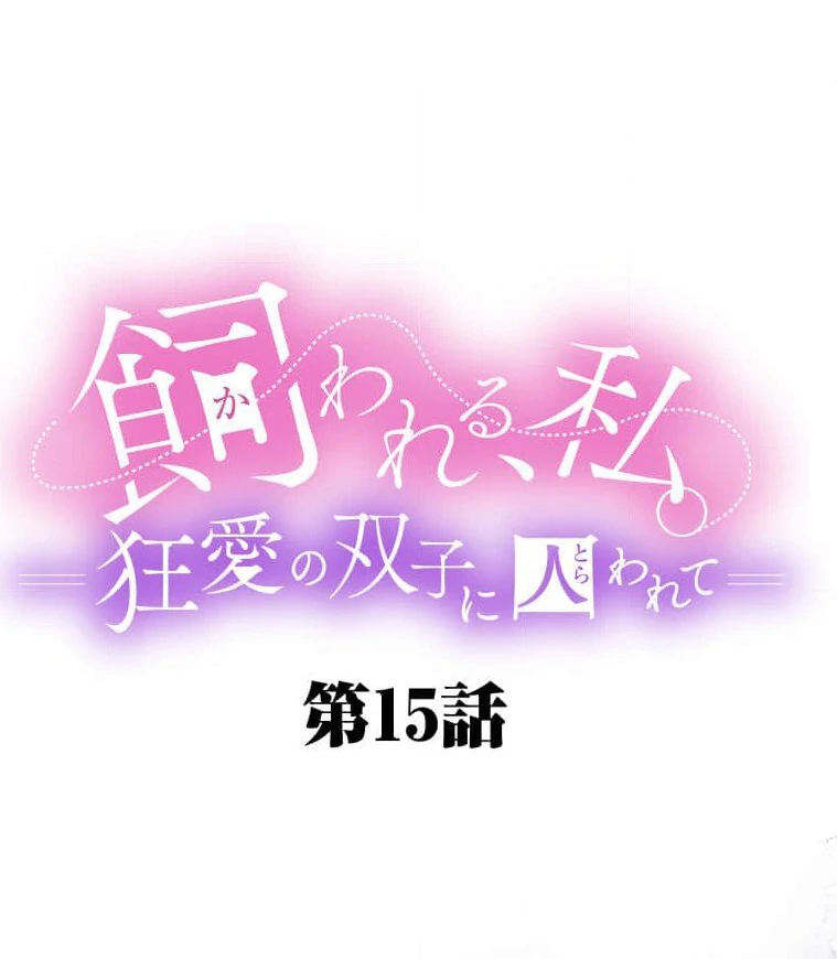 Trapped By The Crazy Twins Chapter 15 - page 20