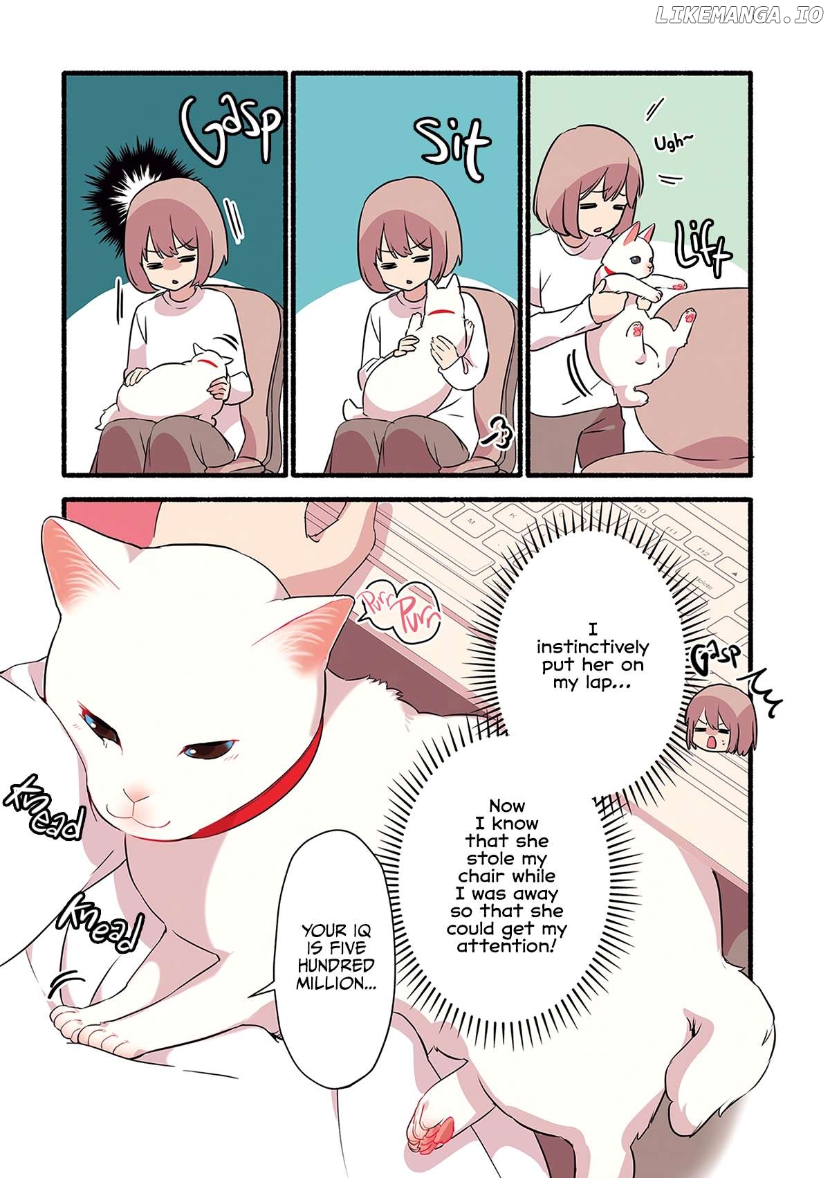 Aisaretagari no shironeko Miko-san Chapter 1.3 - page 3