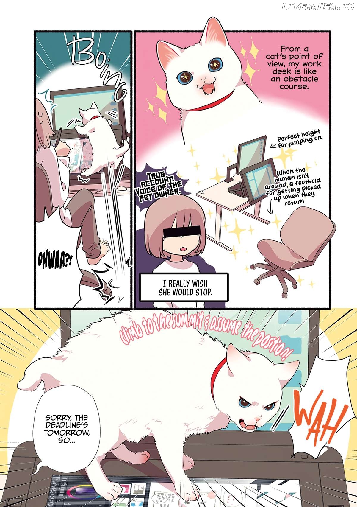 Aisaretagari no shironeko Miko-san Chapter 1.3 - page 4