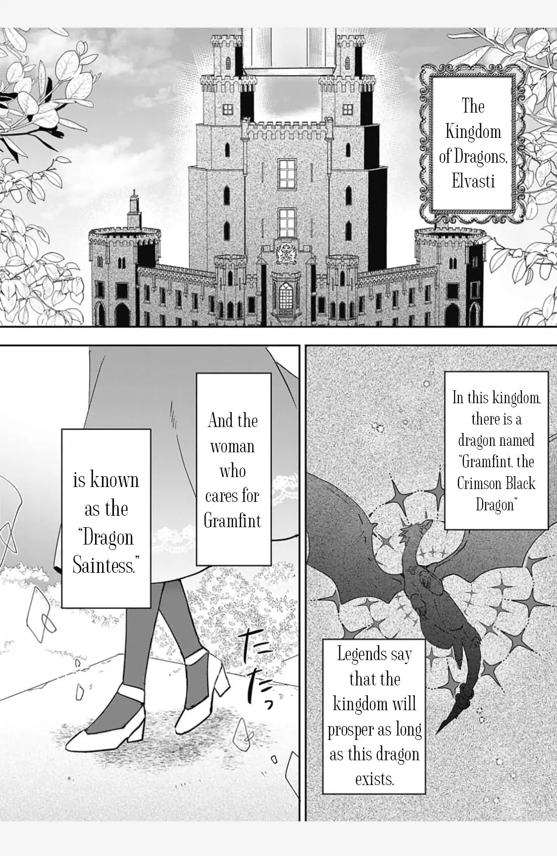 Dragon priestess in the birdcage Chapter 1 - page 4