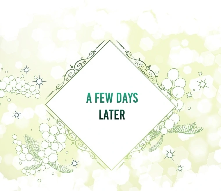 Baby Snow Leopard of the Black Leopard Family Chapter 9 - page 25