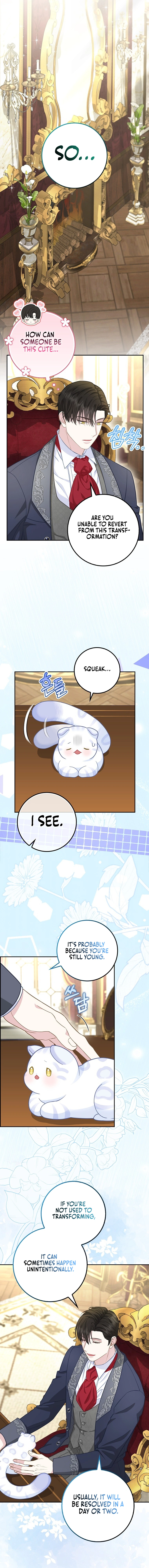 Baby Snow Leopard of the Black Leopard Family Chapter 21 - page 10