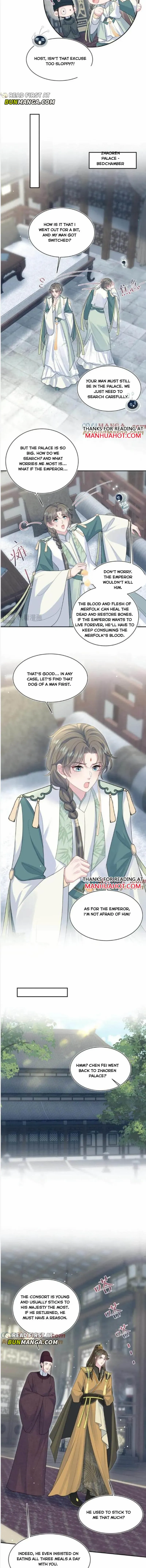 Brilliantly Beautiful White Lotus Teaching Online Chapter 387 - page 3