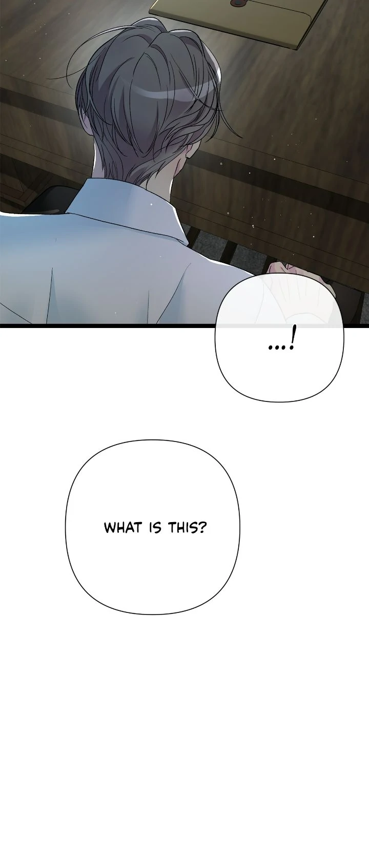 The Problematic Prince Chapter 95 - page 19