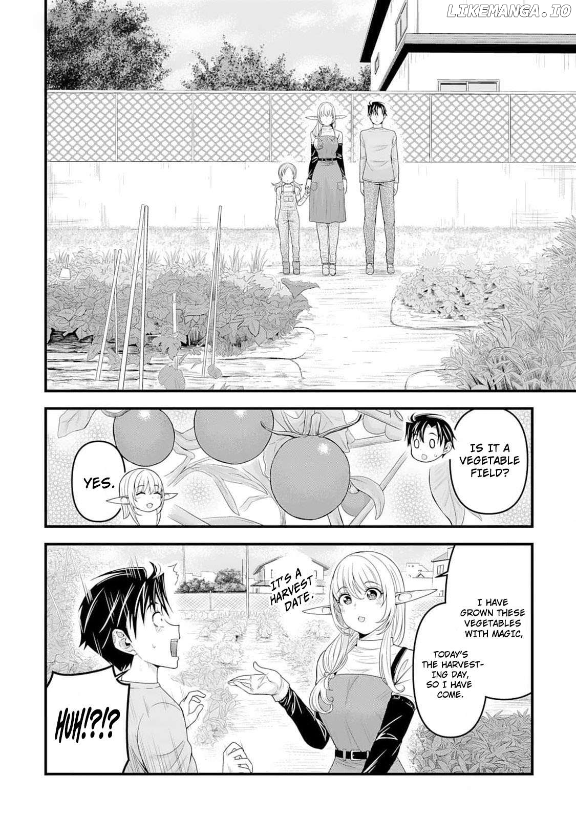 Isekai kara Elf-san ga Ochite Kita no desu ga!? Chapter 6 - page 11