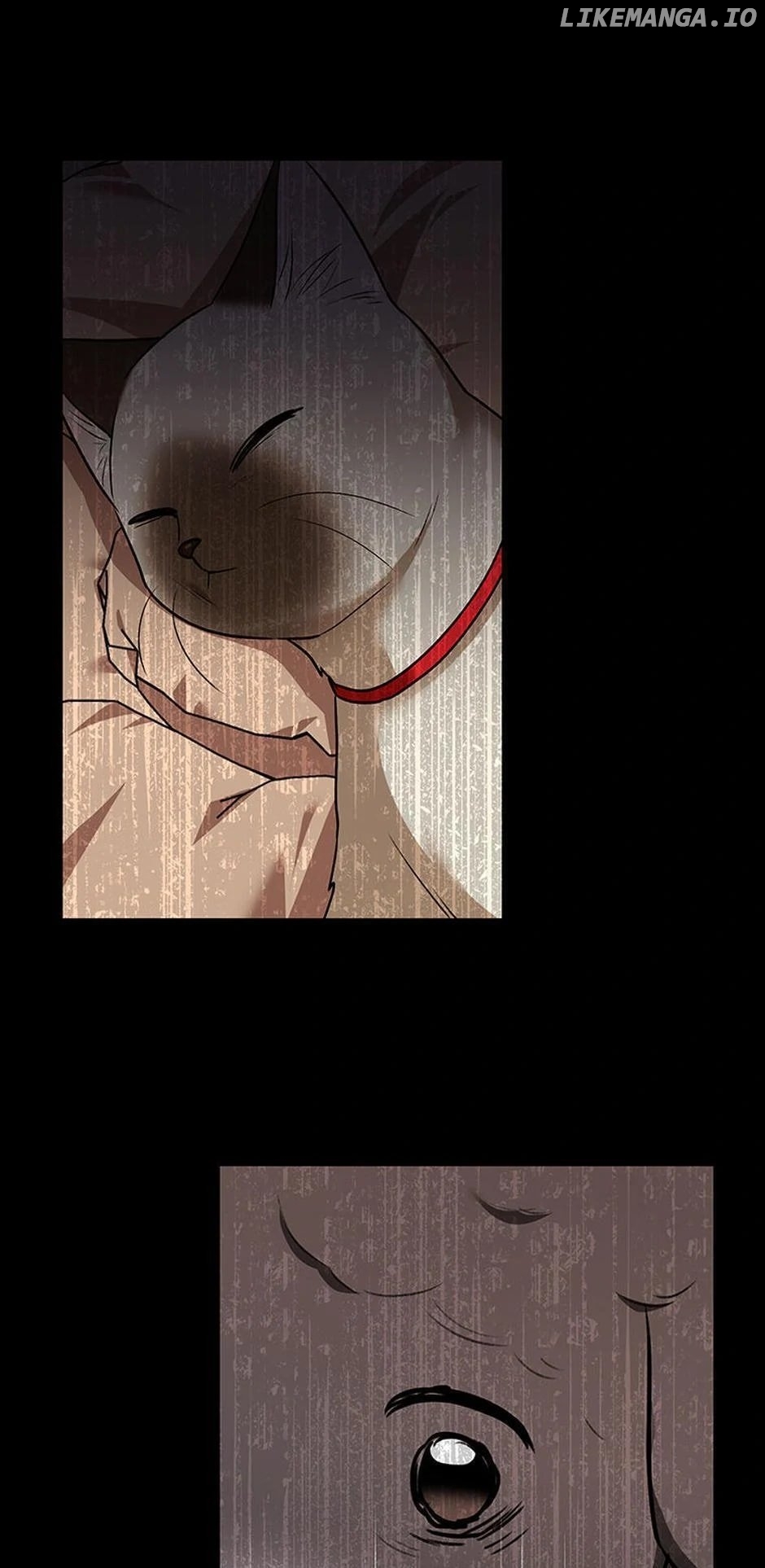 Hello! Veterinarian! Chapter 34 - page 27