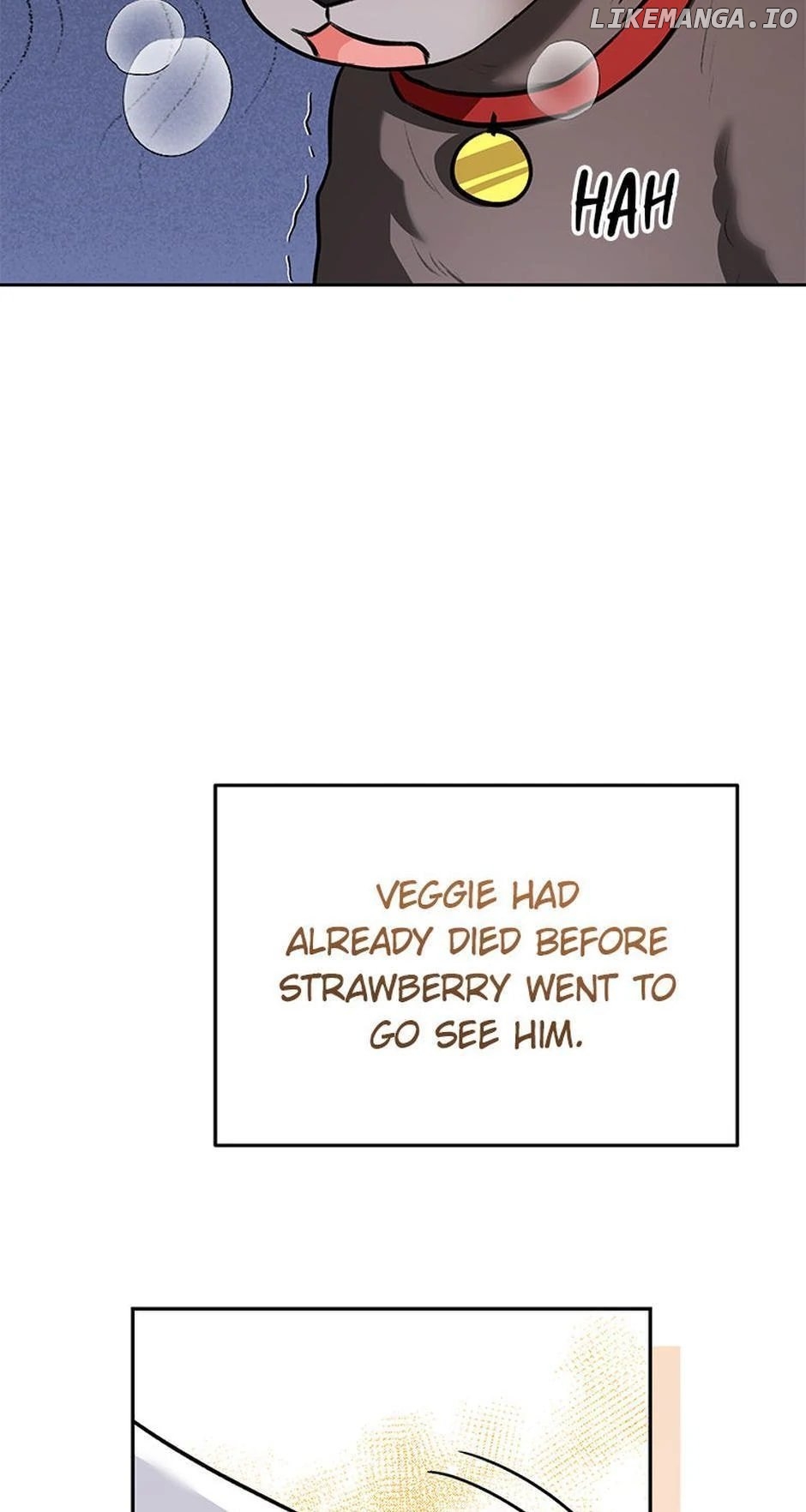 Hello! Veterinarian! Chapter 34 - page 34
