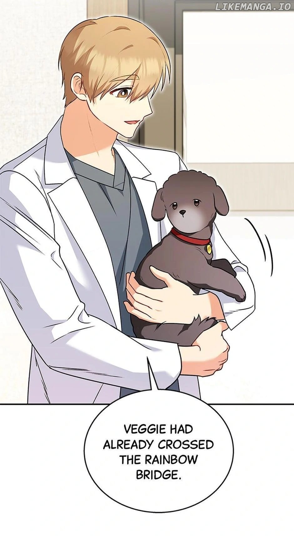 Hello! Veterinarian! Chapter 34 - page 40