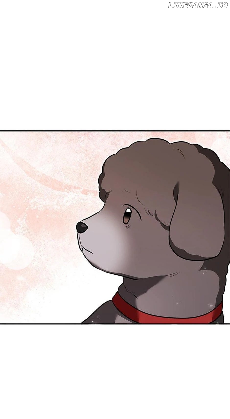 Hello! Veterinarian! Chapter 34 - page 41