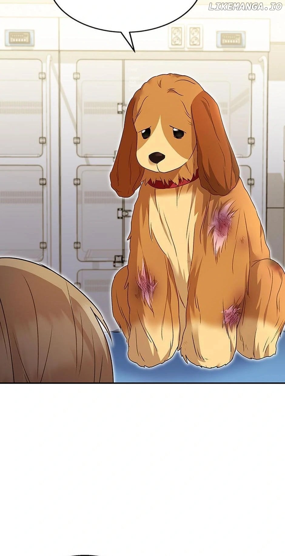 Hello! Veterinarian! Chapter 43 - page 30