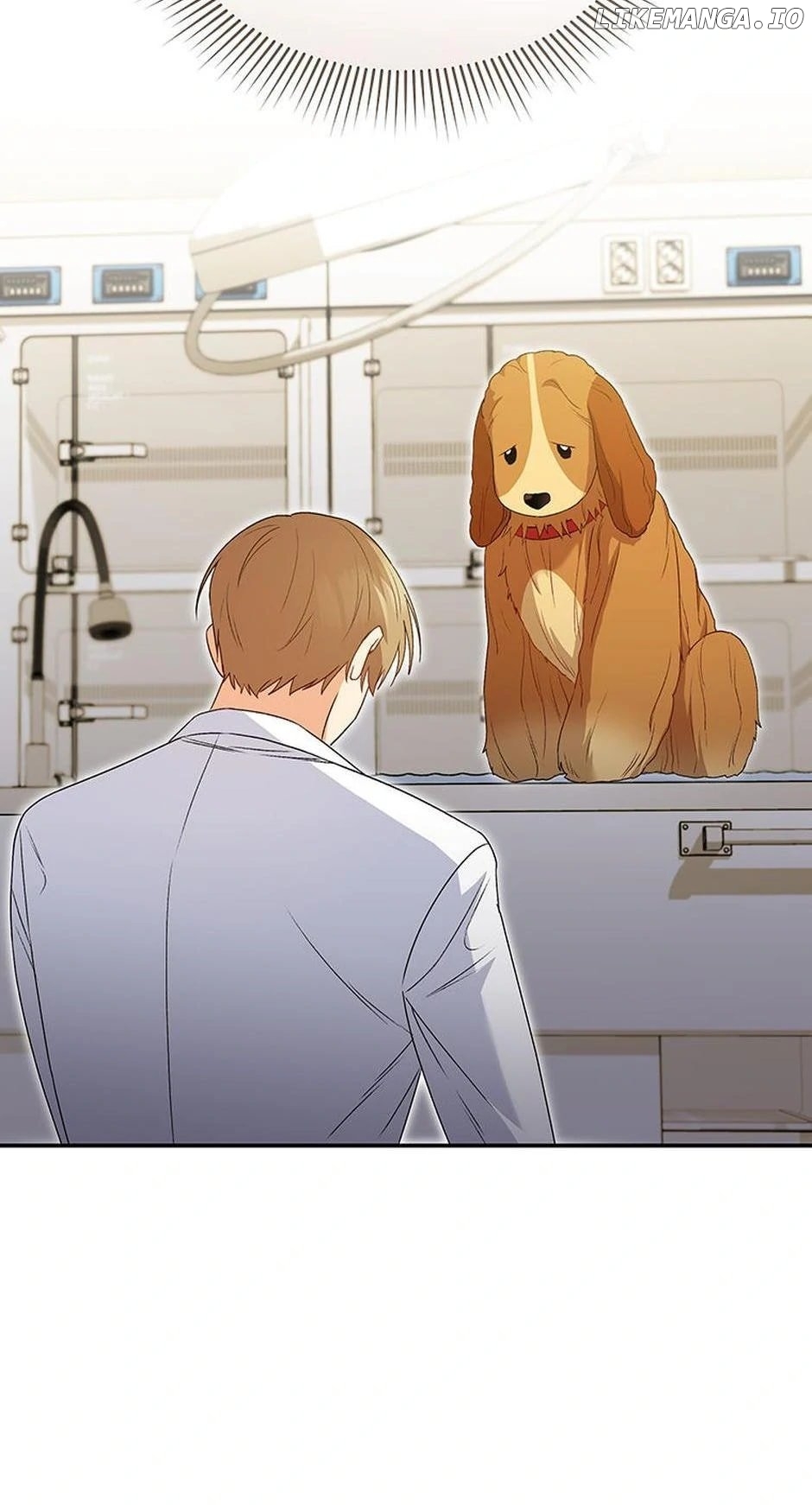 Hello! Veterinarian! Chapter 43 - page 37
