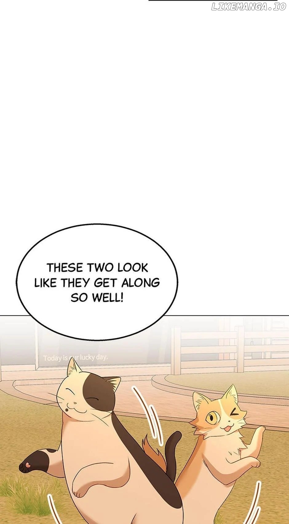 Hello! Veterinarian! Chapter 39 - page 16