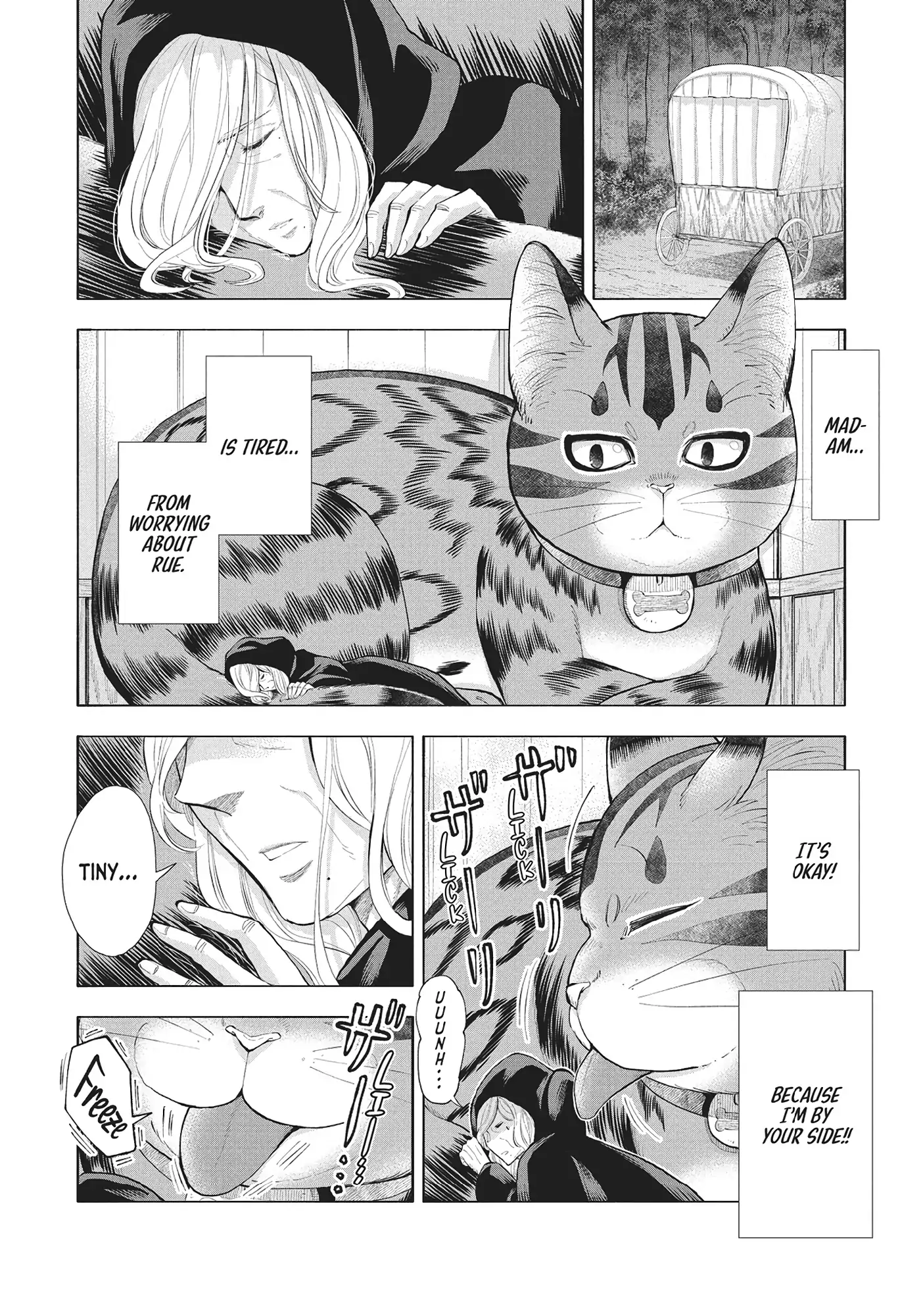 A Cat from Our World and the Forgotten Witch Chapter 21 - page 19