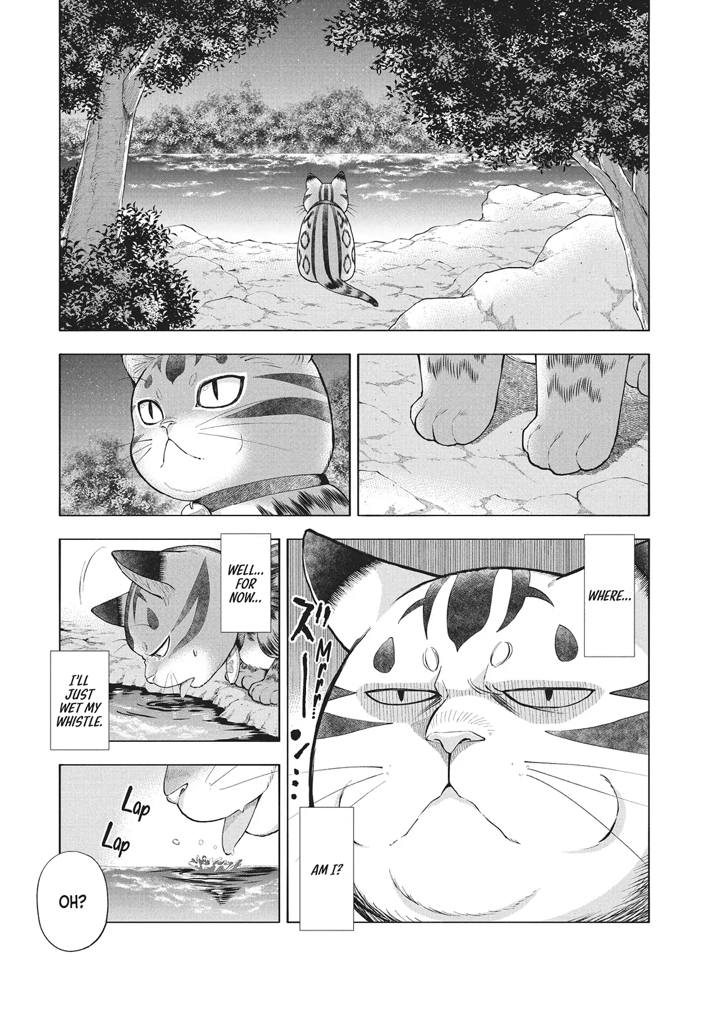 A Cat from Our World and the Forgotten Witch Chapter 23 - page 19