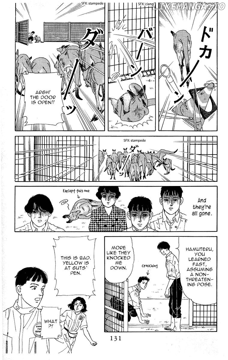 Doubutsu no Oishasan Chapter 116 - page 13