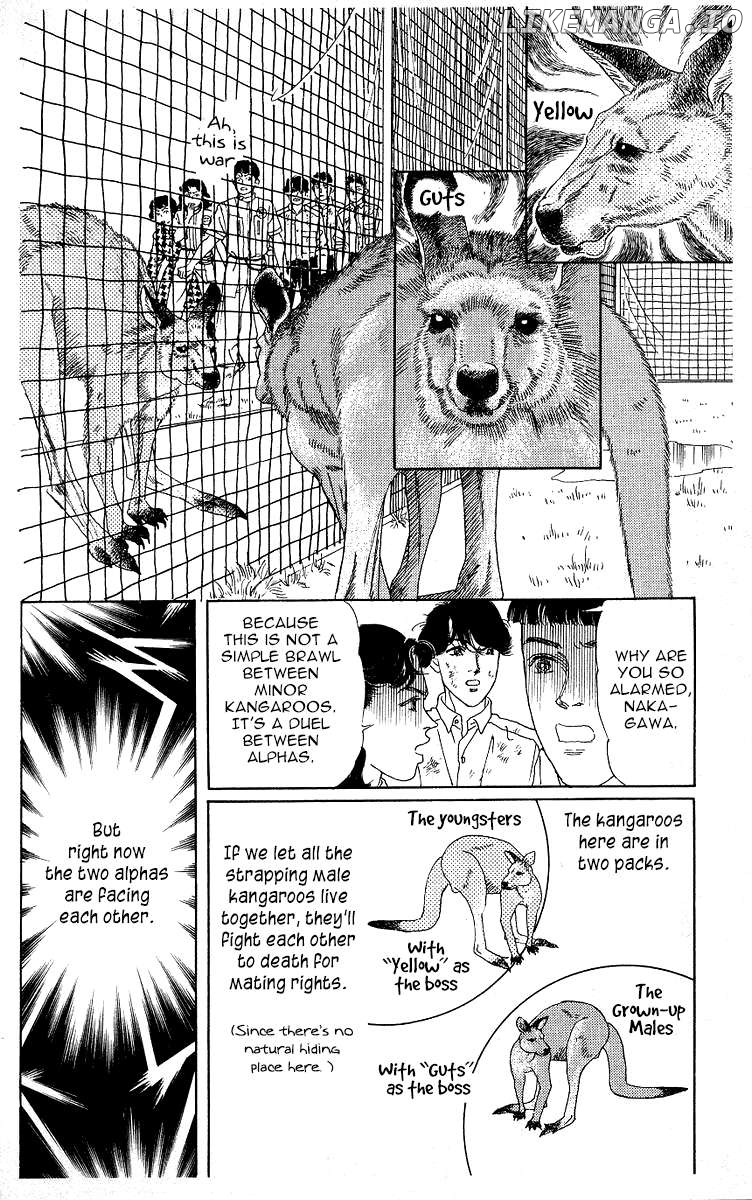 Doubutsu no Oishasan Chapter 116 - page 14