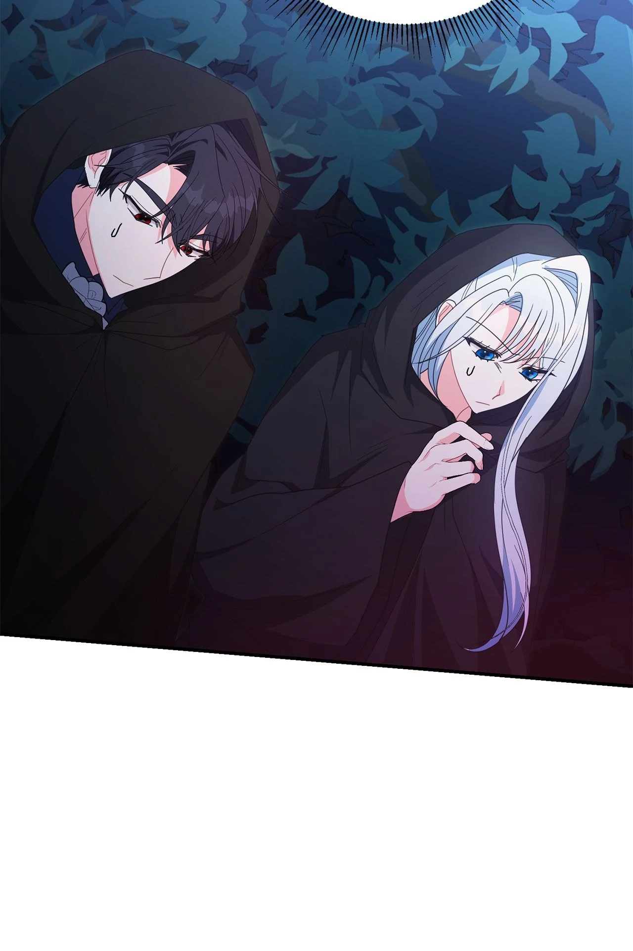 No, I Only Charmed the Princess! Chapter 52 - page 71