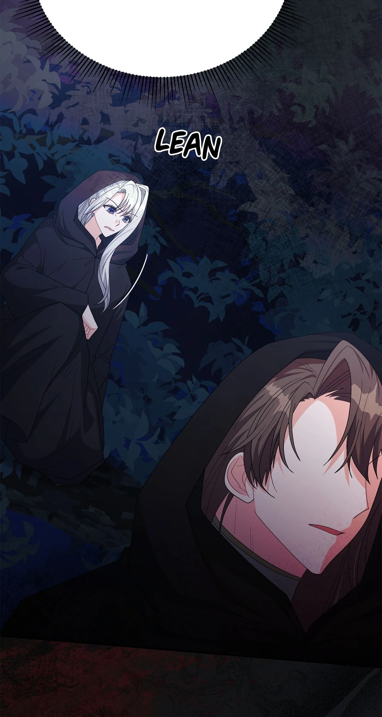 No, I Only Charmed the Princess! Chapter 52 - page 79