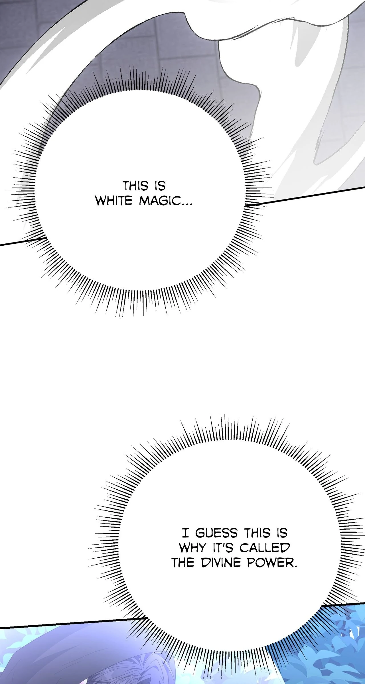 No, I Only Charmed the Princess! Chapter 54 - page 29