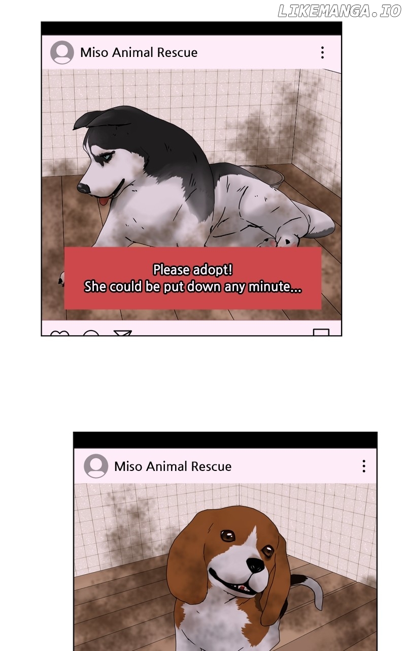 The Dog Diaries Chapter 193 - page 70