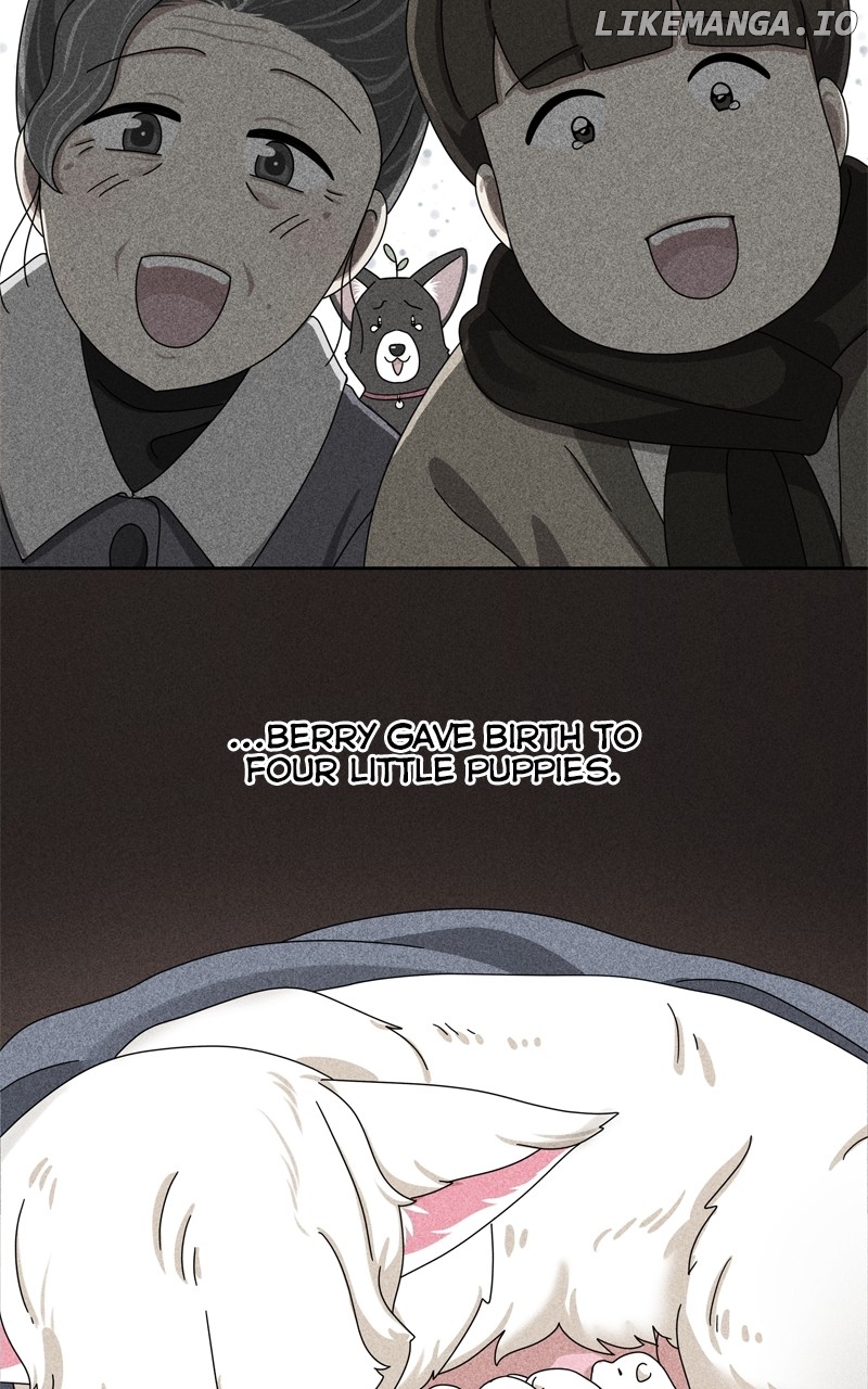 The Dog Diaries Chapter 194 - page 14