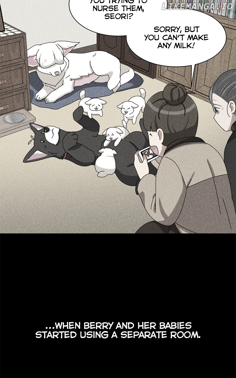 The Dog Diaries Chapter 194 - page 44