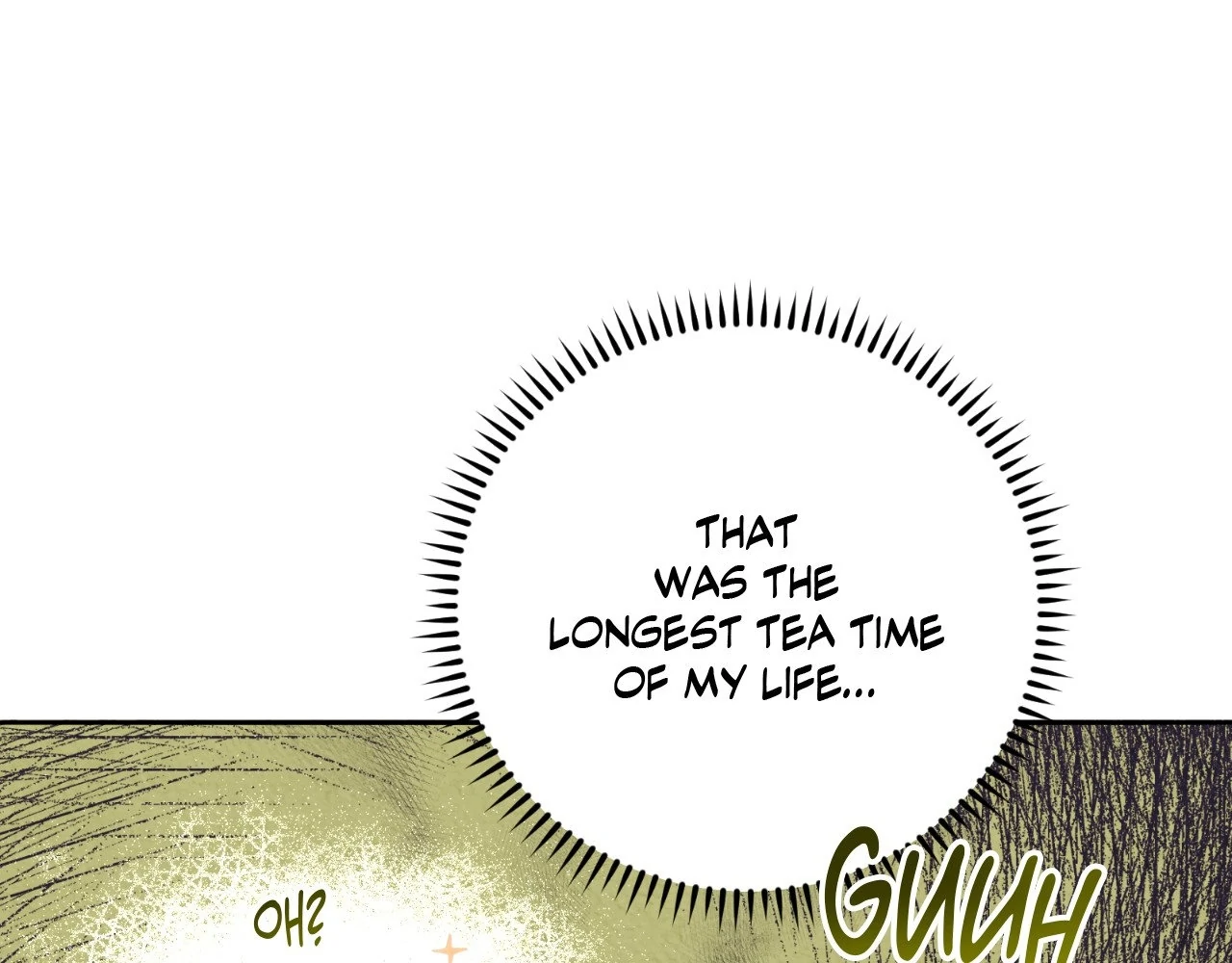 The Marquis and the Iron Wall Lady Chapter 13 - page 9