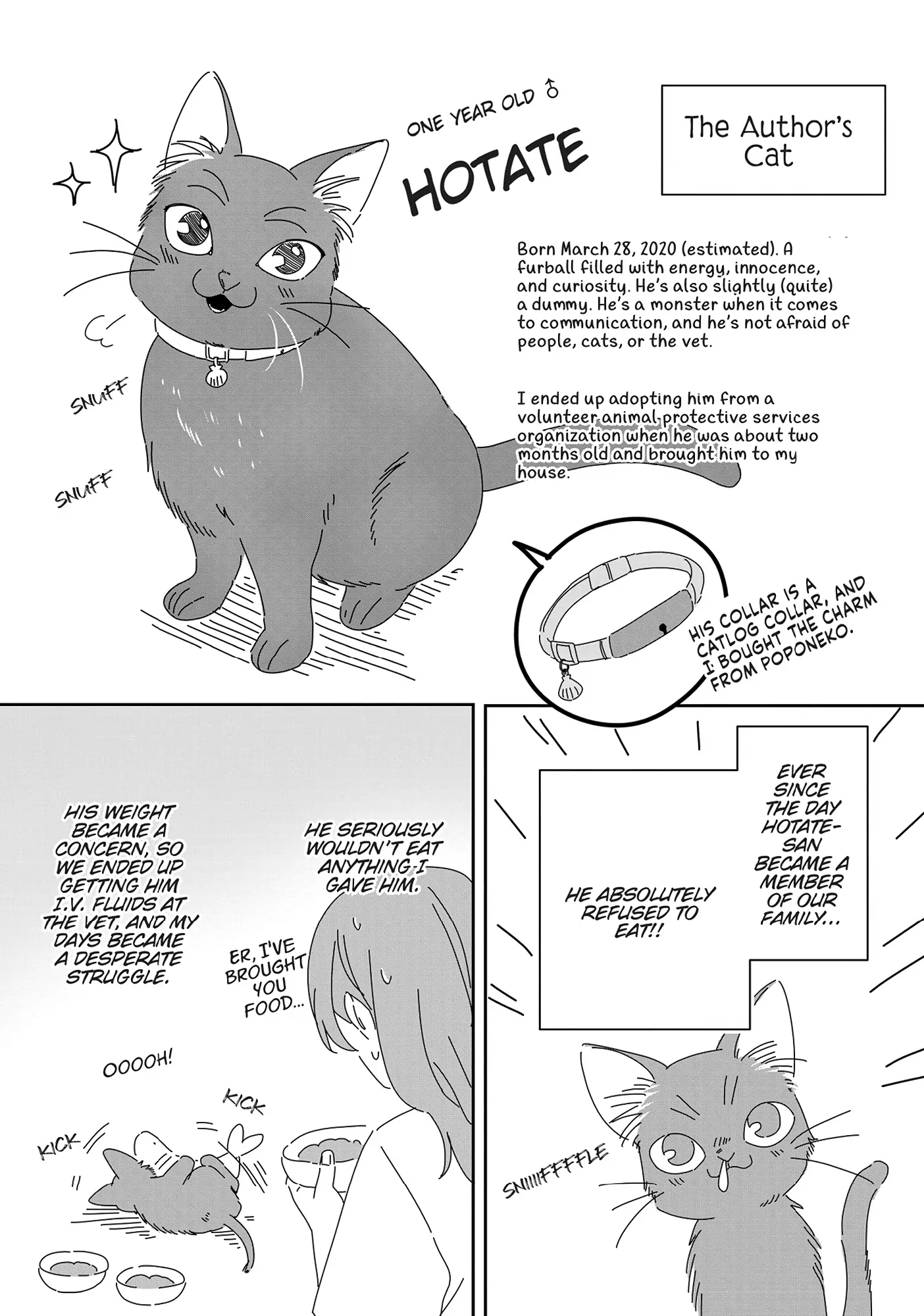 My Kitten Is A Picky Eater Chapter 23.5 - page 1
