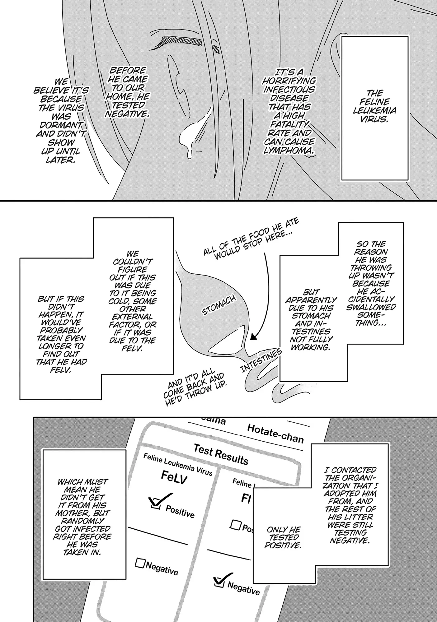 My Kitten Is A Picky Eater Chapter 23.5 - page 4