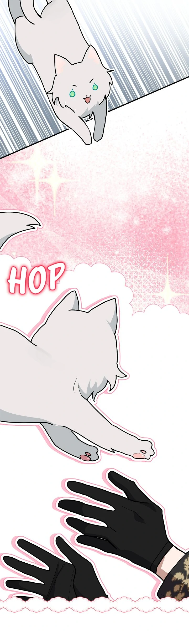 You’re a Cat, But You’ve Been Adopted by a Wolf Family? Chapter 40 - page 24