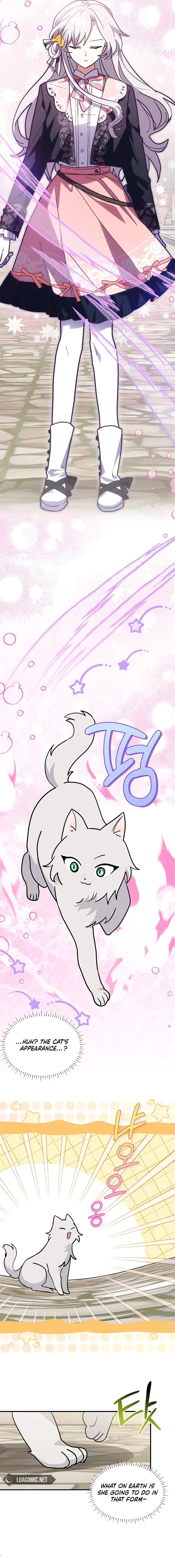 You’re a Cat, But You’ve Been Adopted by a Wolf Family? Chapter 51 - page 14