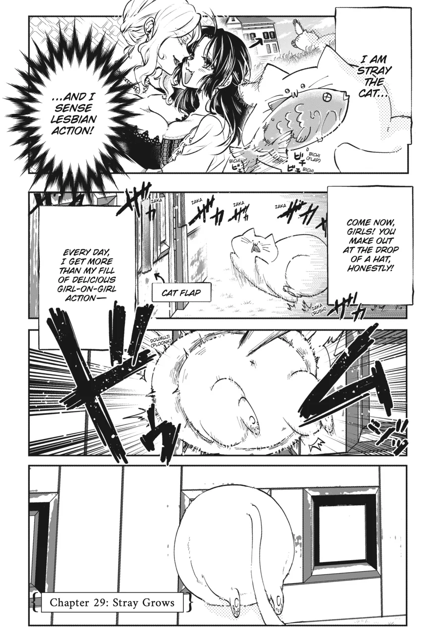 The Villainess Who Steals The Heroine's Heart Chapter 29 - page 1