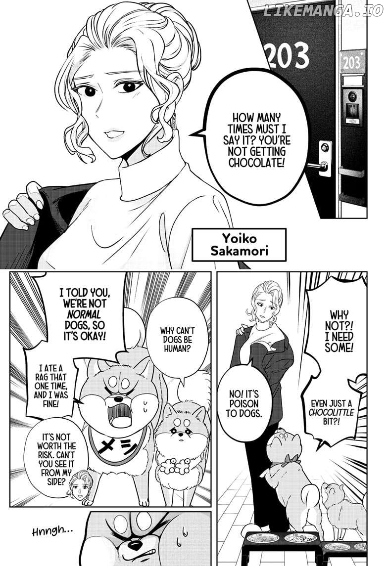 Shiba Inu Rooms Chapter 20 - page 7