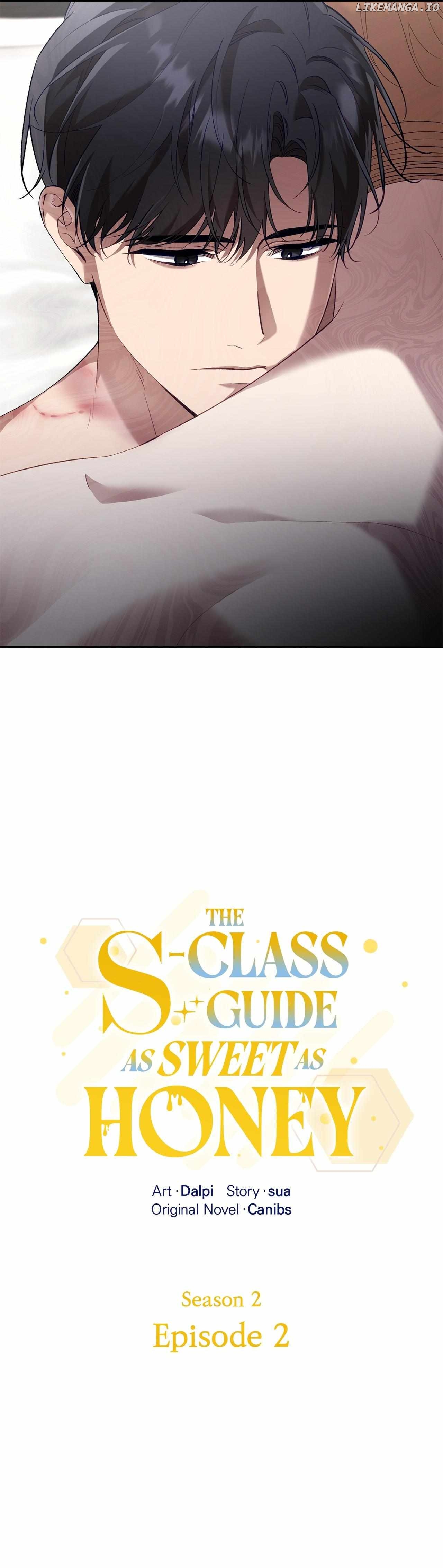 The S-Class Guide as Sweet as Honey Chapter 47 - page 2