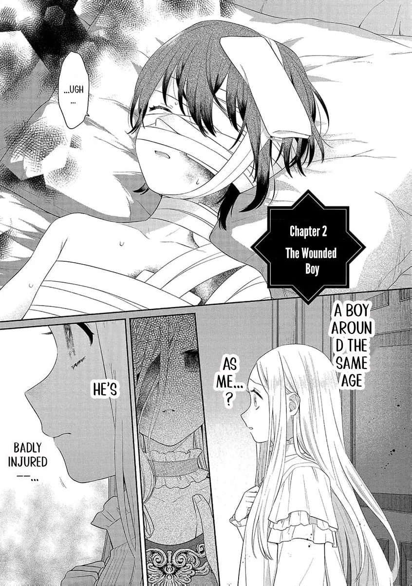 The Scarred Princess's Pursuit of Happiness Chapter 2 - page 3