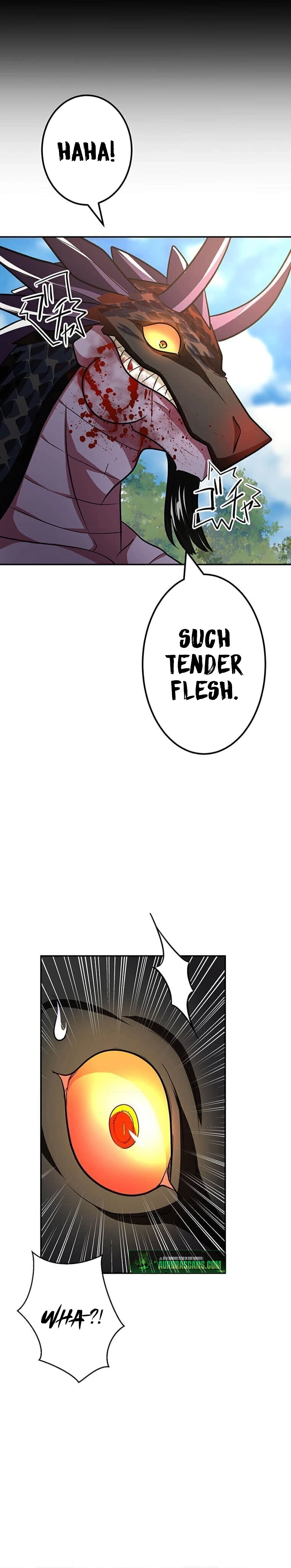 A Boy Raised by the Ultimate Dragon Wants to Be Fostered by Someone Stronger Than His Parent! Chapter 29 - page 27