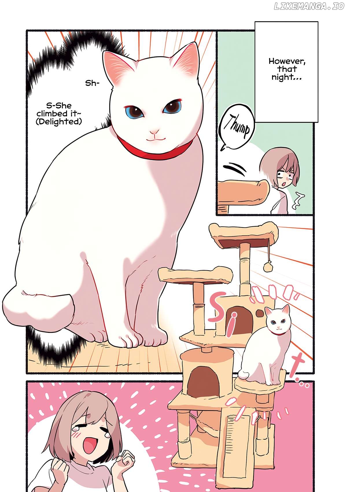 Aisaretagari no shironeko Miko-san Chapter 3.3 - page 3