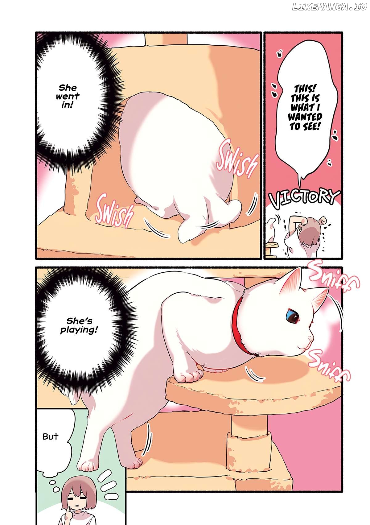 Aisaretagari no shironeko Miko-san Chapter 3.3 - page 4