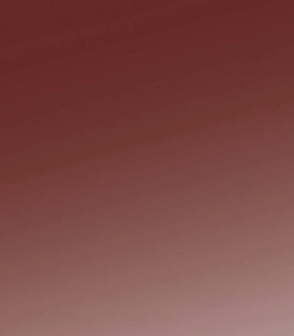 The Saintess And The Curse Chapter 22 - page 41