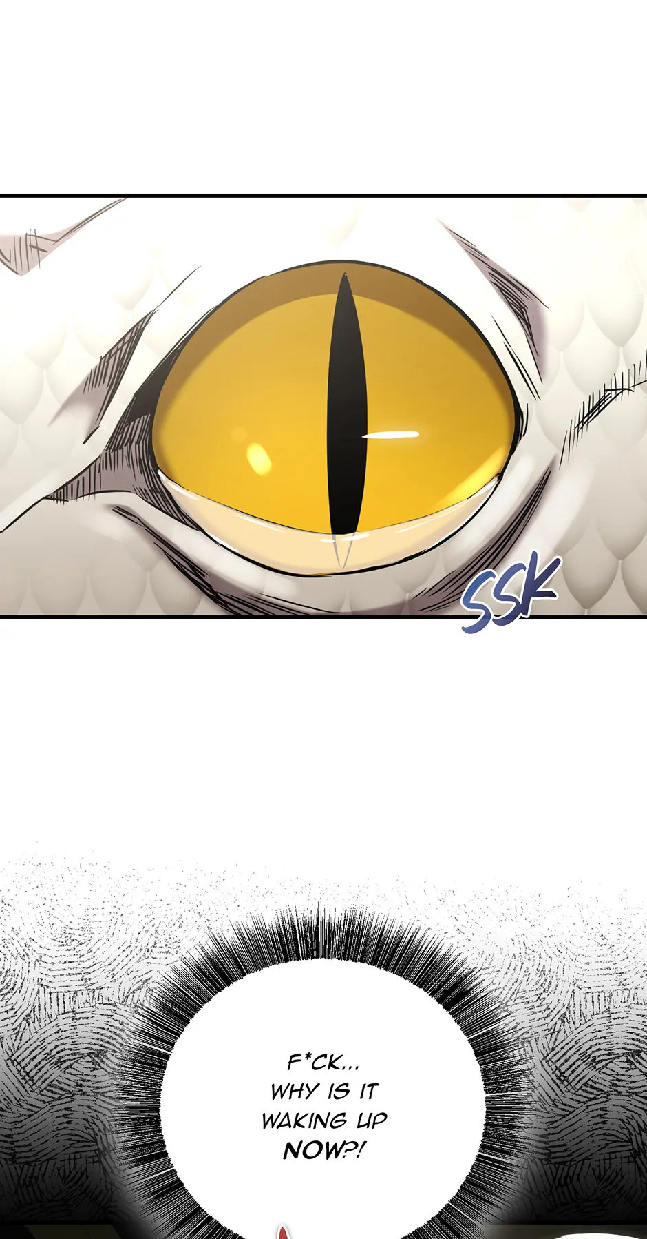 Shadow of the Supreme Chapter 25 - page 13