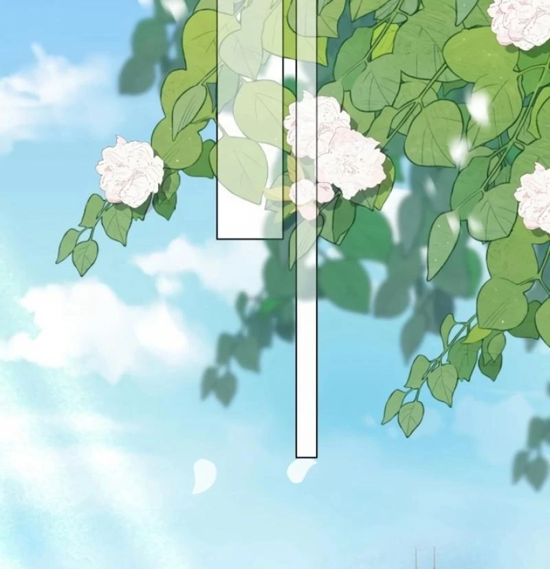 The Substitute Bride And The Overly affectionate Husband Chapter 2 - page 22