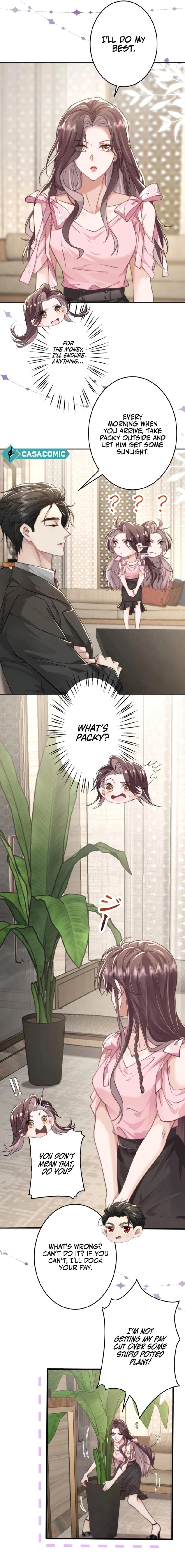 Bossy President Can't Go Against Me Chapter 1 - page 11