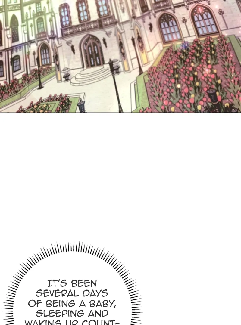 When The Chubby Female Lead Became Popular! Chapter 1 - page 48